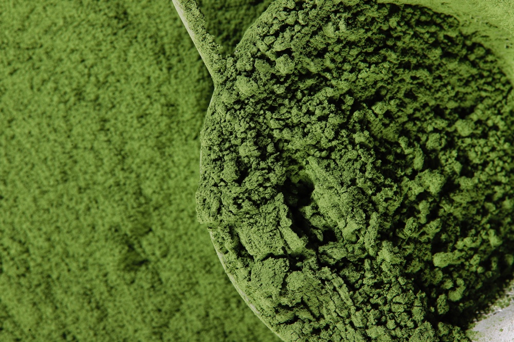 Kepakaran Kerajaan Baker